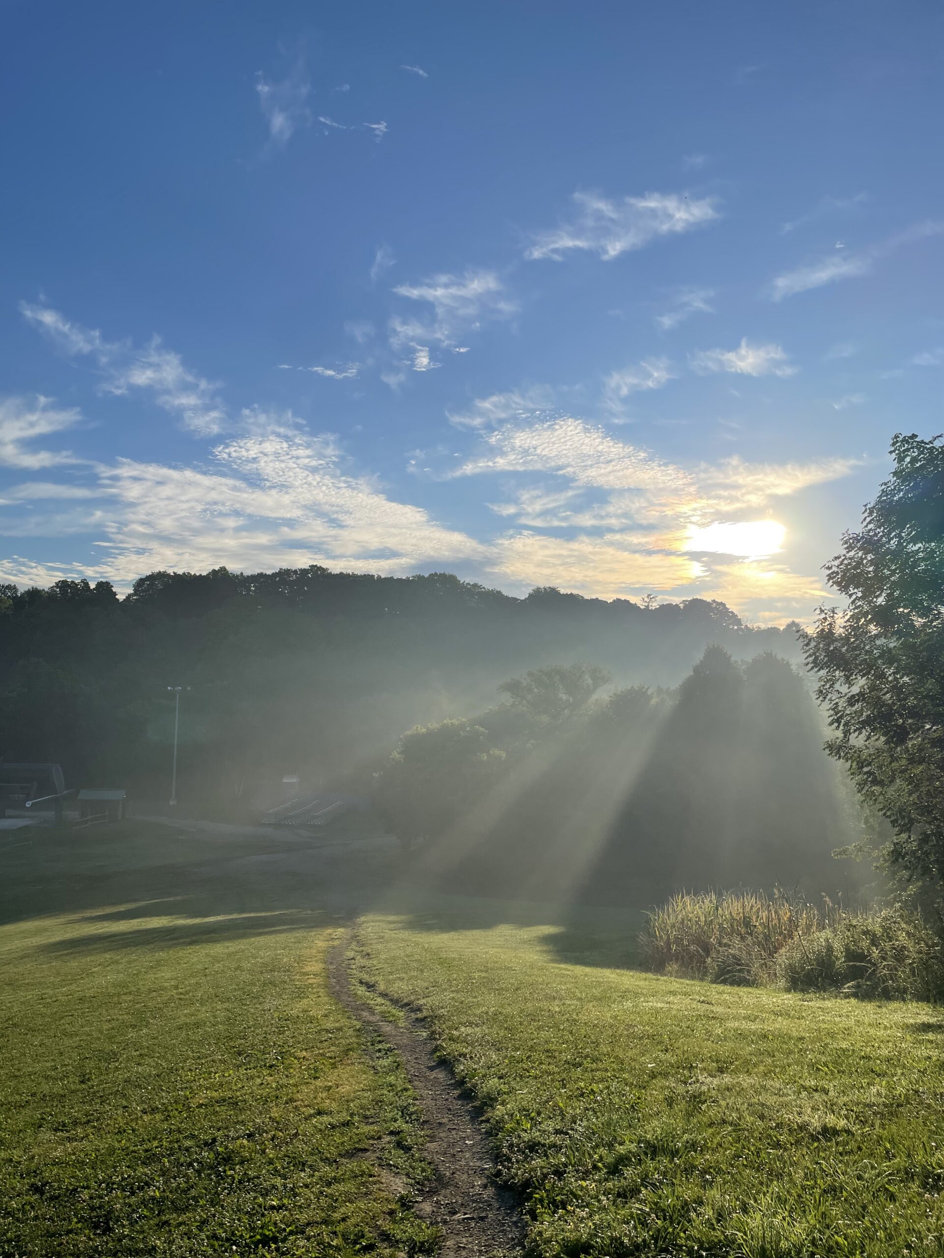 A path through mist opening into morning light